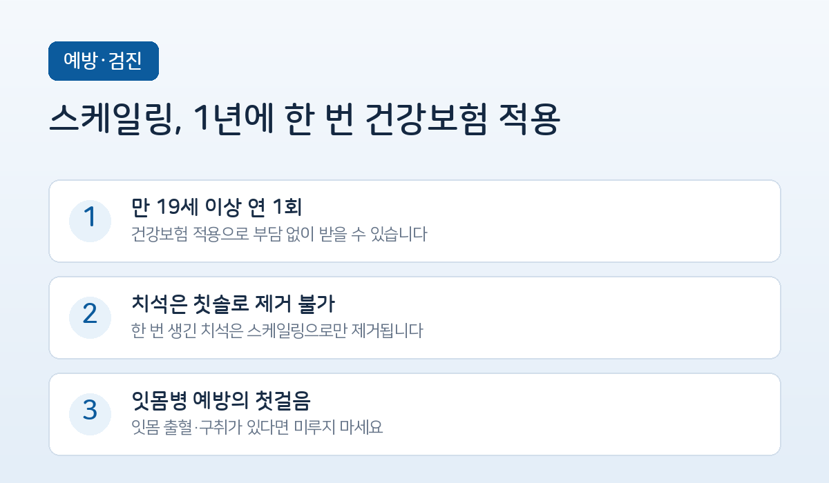 스케일링 건강보험 안내 인포그래픽