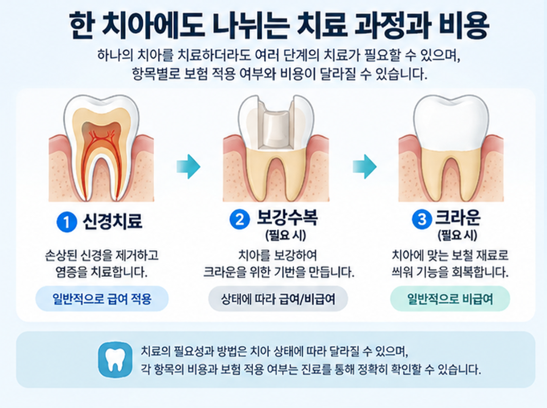 한 치아에도 나뉘는 치료과정과 비용.png