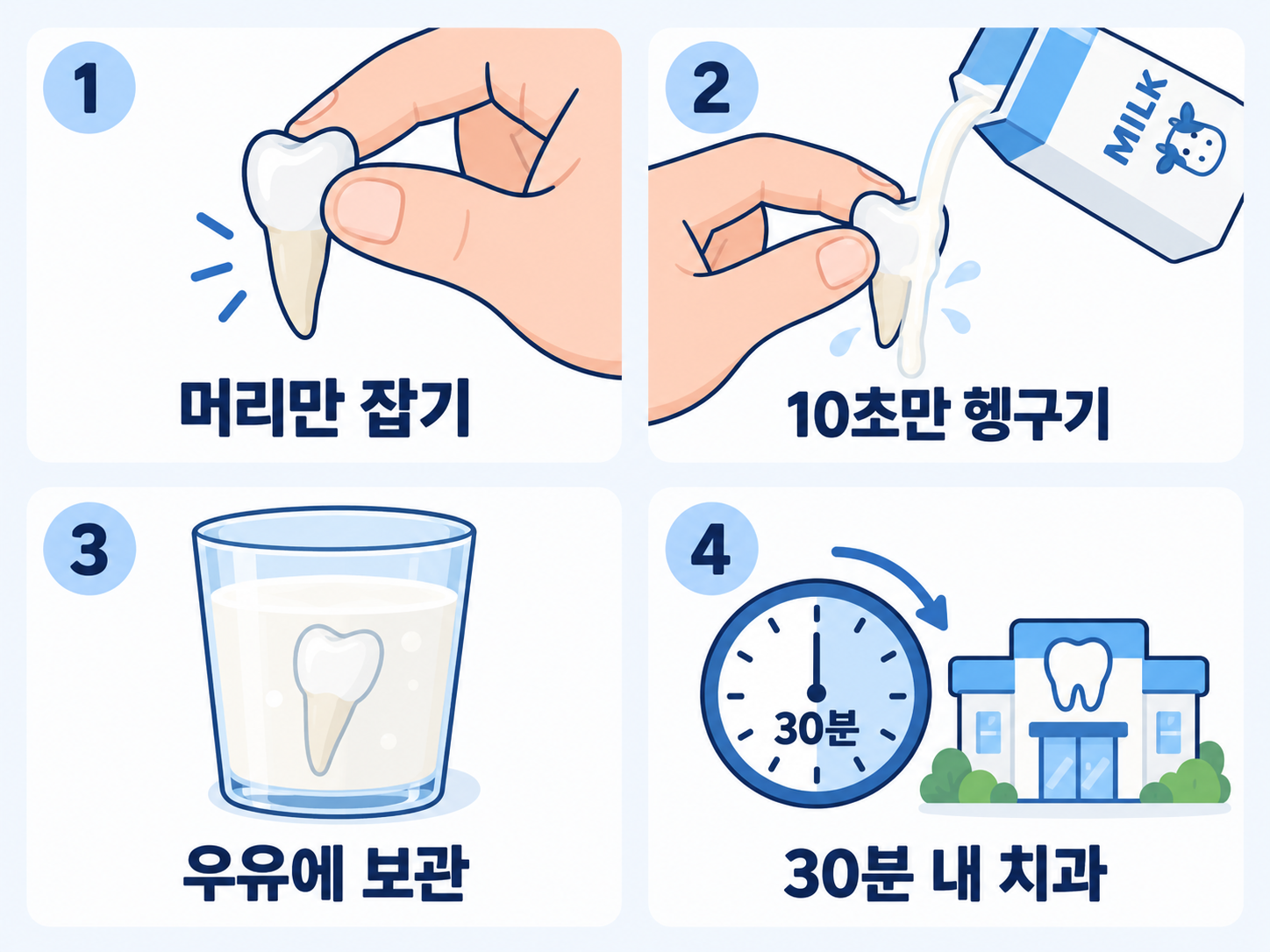 빠진치아 응급처치-치아 머리 잡기, 우유 보관, 30분 이내 치과 방문.png